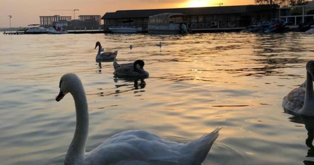 Hotel La Scoica Land Năvodari المظهر الخارجي الصورة